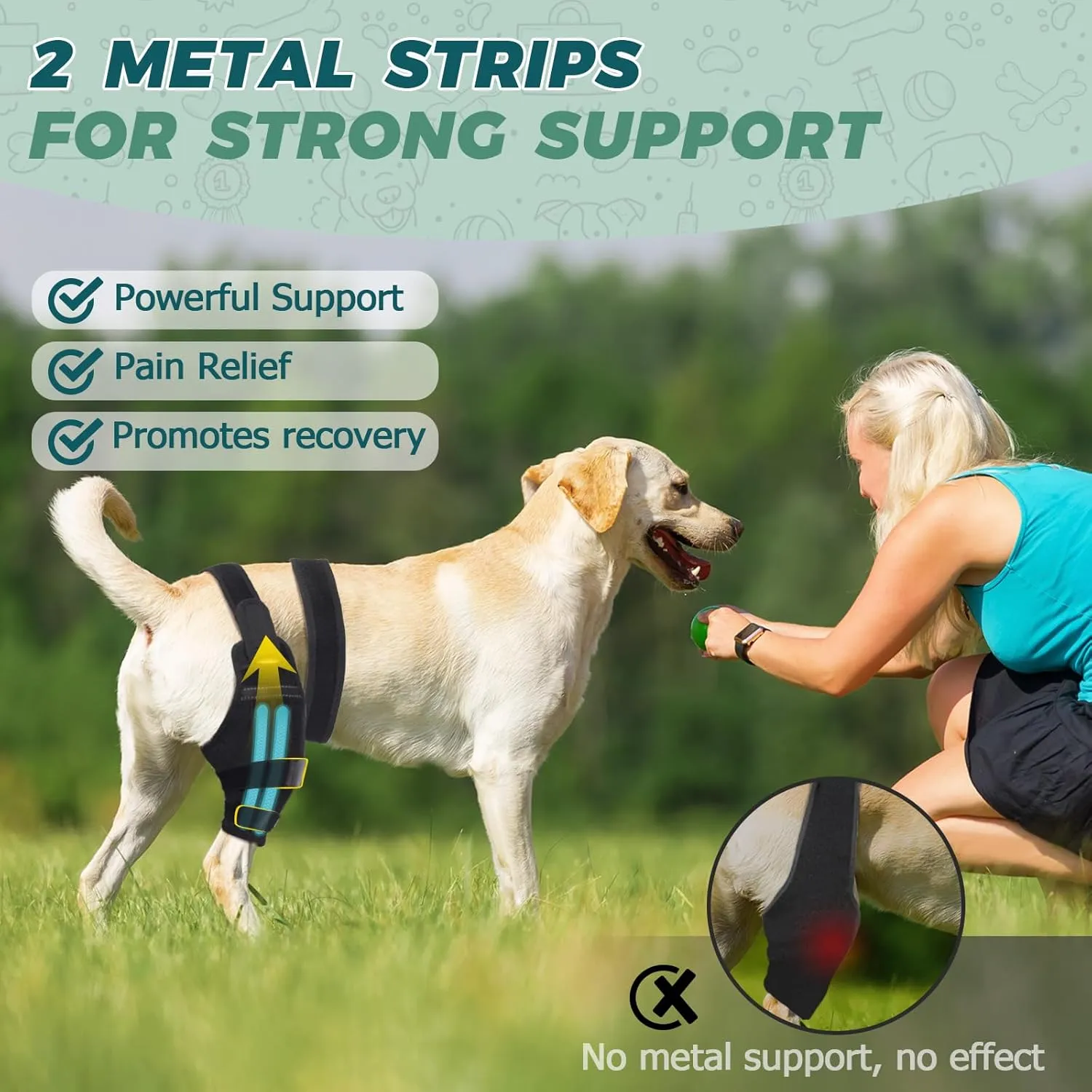 Dog Knee Brace for Back Leg Fit Large to Small Dogs Strong Support Dog ACL Hip Brace with 2 Metal Strips for Hip Dysplasia, CCL, Ligament Injuries & Osteoarthritis (Right Leg, 2XL)