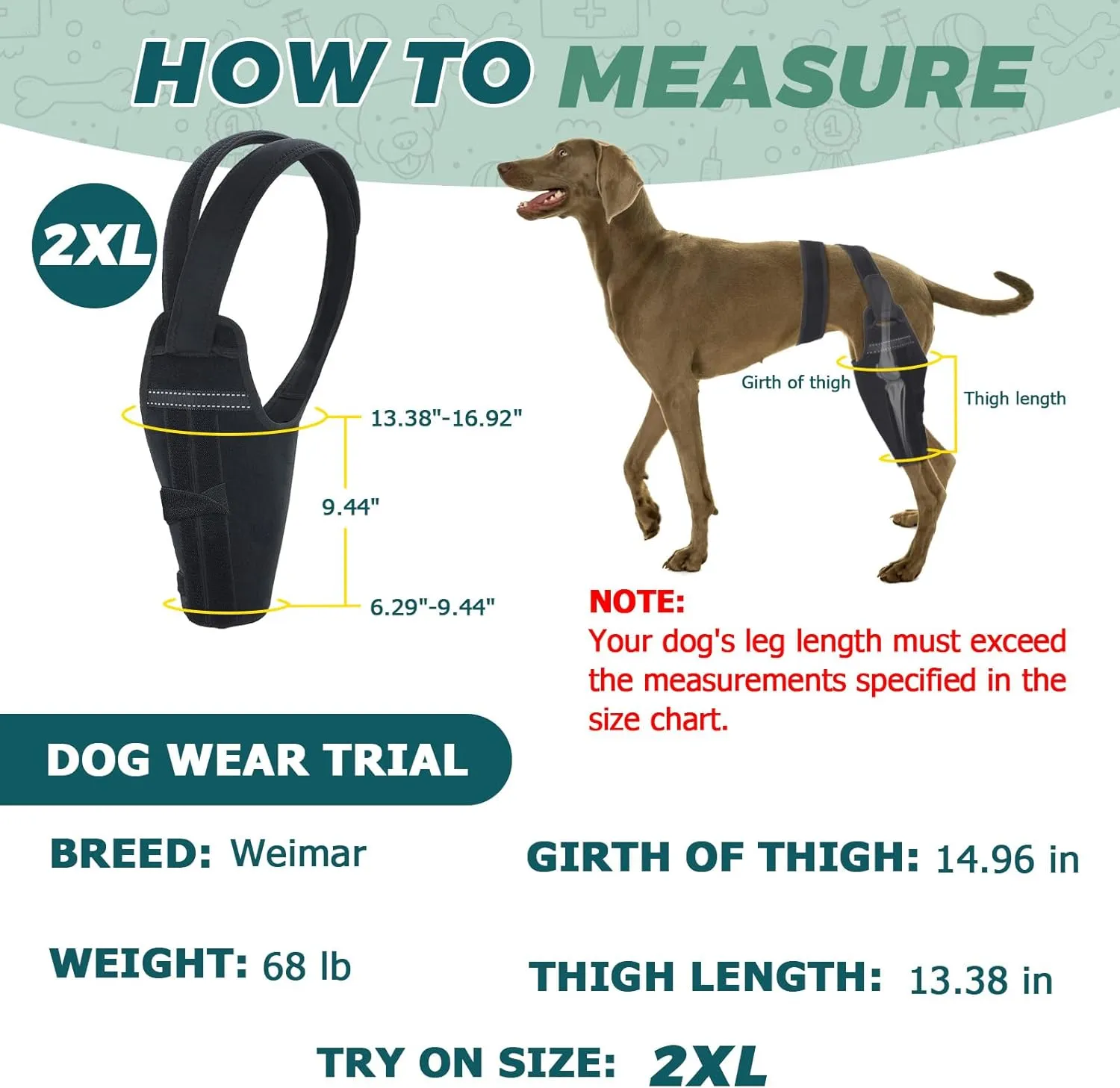 Dog Knee Brace for Back Leg Fit Large to Small Dogs Strong Support Dog ACL Hip Brace with 2 Metal Strips for Hip Dysplasia, CCL, Ligament Injuries & Osteoarthritis (Right Leg, 2XL)