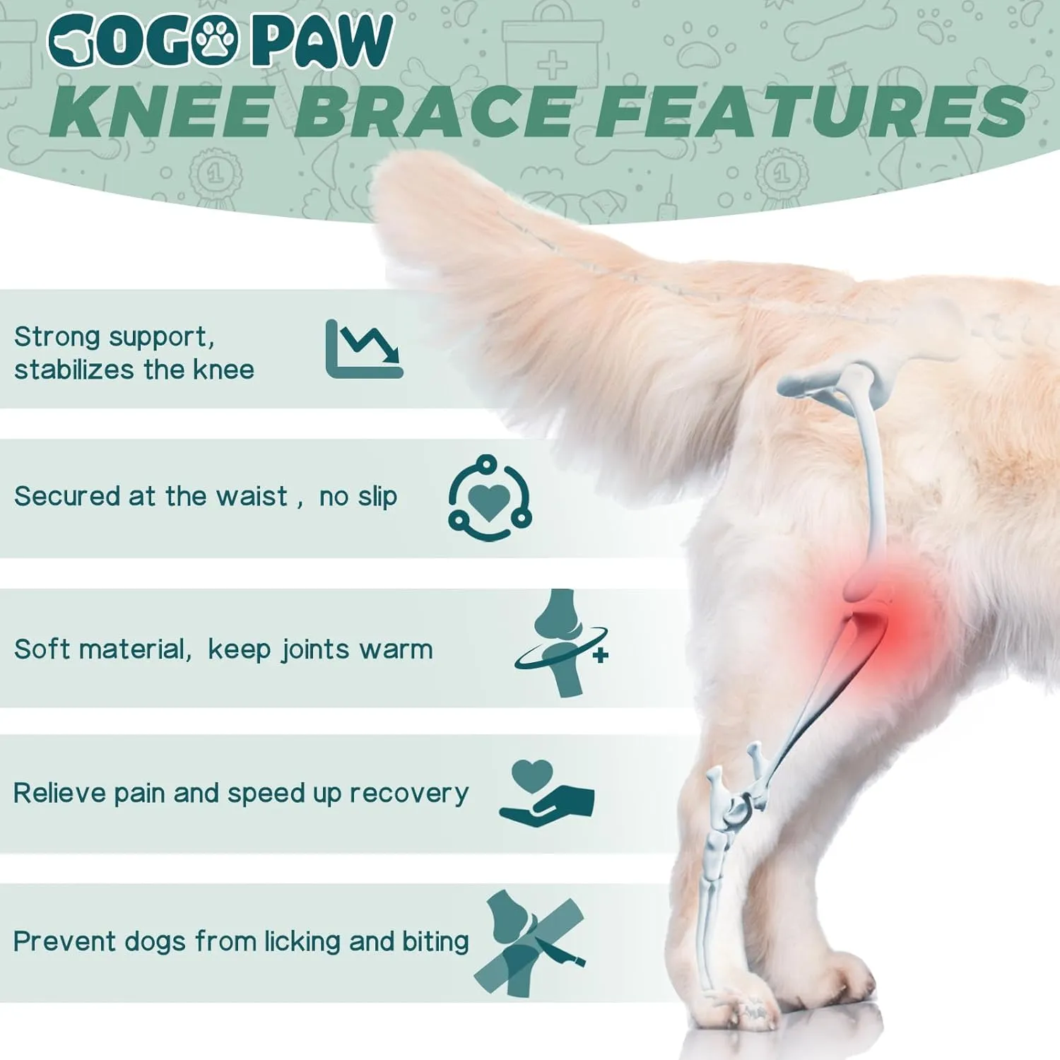 Dog Knee Brace for Back Leg Fit Large to Small Dogs Strong Support Dog ACL Hip Brace with 2 Metal Strips for Hip Dysplasia, CCL, Ligament Injuries & Osteoarthritis (Right Leg, 2XL)