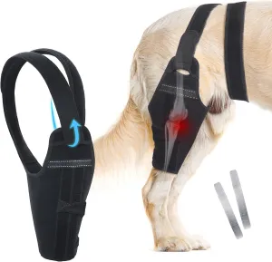 Dog Knee Brace for Back Leg Fit Large to Small Dogs Strong Support Dog ACL Hip Brace with 2 Metal Strips for Hip Dysplasia, CCL, Ligament Injuries & Osteoarthritis (Right Leg, 2XL)
